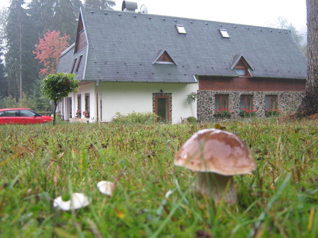Penzion Pod Dobakom Lazisko Buitenkant foto